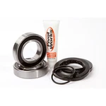 Pivot Works Wheel Bearing And Seal Kits PWRWK-H67-000 New. Price: $57.48.