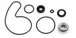 Arctic Thundercat 900, 1993-1997, Water Pump Rebuild/seal Kit New. Price: $35.98.