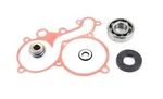 Arctic Cat 4000 Blast Alpha One, 2023, Water Pump Rebuild Kit New. Price: $43.99.
