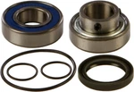 Balls Chain Case Bearing And Seal Kits 14-1033 New. Price: $55.10.