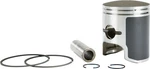Sports Parts T-moly Piston Kit Std Bore 60.00MM Arctic Cat Panther Z 370 09-603 New. Price: $87.25.