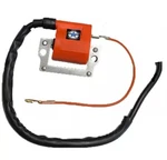 External Ignition Coil Fits Ski-doo Formula Iii 600 700 800 1998 1999 2000 New. Price: $18.99.