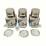 81MM Std SP1 Pistons 1999-2001 Arctic 1000 Pantera Thundercat Mountain New. Price: $299.95.