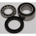 Balls Chain Case Bearing & Seal Kit 14-1010 New. Price: $37.24.