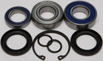 Balls Chain Case Bearing And Seal Kits 14-1068 New. Price: $52.20.