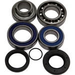 Balls Chain Case Bearing & Seal Kit 14-1059 New. Price: $117.53.
