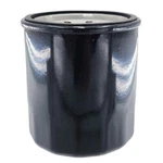 Polaris Oil Filter, 2522606 New. Price: $17.99.