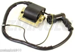 Ignition Coil For Yamaha Bravo BR250T Inviter CF300 New. Price: $12.95.