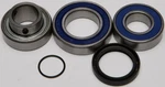 Balls 14-1058 Chain Case Bearing And Seal Kits New. Price: $71.04.