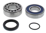 Balls 14-1073 Jackshaft Bearing & Seal Kit New. Price: $35.35.