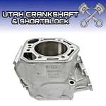 Replated Std Ski-doo 800 Ho Cylinder 2003-2007 Mxz Gtx Gsx Ltd Ptek Remanufactured. Price: $585.99.