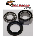 Balls Shaft Bearing And Seal Kit For 2009-2011 Arctic Cat TZ1 Turbo Lxr Ho New. Price: $44.83.