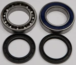 Balls Chain Case Bearing And Seal Kits 14-1065 New. Price: $63.89.