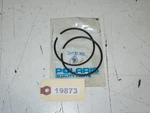 Polaris - New Oem Piston Ring .020 Qty 3082846 / 3084243. Price: $29.95.