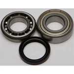 Balls Chain Case Bearing & Seal Kit 14-1056 New. Price: $33.33.