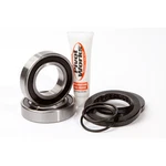 Pivot Works Wheel Bearing And Seal Kits PWRWK-H67-000 New. Price: $57.47.