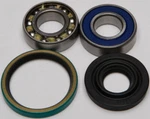 Balls 14-1017 Chain Case Bearing & Seal Kit New. Price: $36.33.