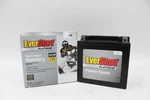 Everstart Platinum Power Sport Battery W/ Agm Technology, (WETX14L) Used. Price: $69.99.
