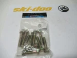 Ski-doo Snowmobile 207083544 Hex Cap Screw M8 45 O.e.m. N.o.s. Qty 10 New. Price: $12.99.