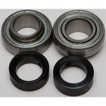 Balls Chain Case Bearing & Seal Kit 14-1037 New. Price: $42.75.