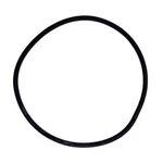 Polaris O-ring, 3085619 New. Price: $17.99.