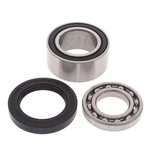 Arctic Cat Crossfire 1000, 2007-2009, Bearing & Seal Kit New. Price: $37.24.