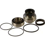 Balls Chain Case Bearing & Seal Kit 14-1007 New. Price: $51.25.