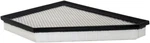 Air Filter-vin: Baldwin Filters PA10076 New. Price: $66.99.