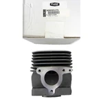 Polaris New Oem Snowmobile Cylinder EC55PM Trail,touring,super,sport,classic,rmk. Price: $639.99.