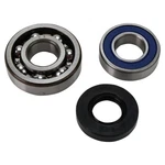 Balls 14-1028 Chain Case Bearing And Seal Kits New. Price: $41.68.