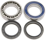 Balls Chain Case Bearing & Seal Kit #14-1065 Arctic Cat New. Price: $63.89.