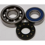 Balls Chain Case Bearing & Seal Kit 14-1028 New. Price: $41.68.