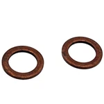 Polaris Copper Crush Washer Kit, 2203393 New. Price: $29.99.