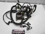 Arctic Cat Cf, M, 600 Main Harness W/ Coil And Ccu 2009 Oem: 1686-484 Used. Price: $374.95.