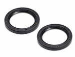 New 2005-2020 Arctic Firecat / Crossfire Oem Oil Seals (qty 2) 1602-766. Price: $10.95.