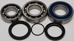Balls 14-1051 Chain Case Bearing And Seal Kits New. Price: $79.85.