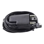 Ignition Coil For Arctic Cat Pantera 5000 Jag 3000 / 4000 1976-1981 3002-160 New. Price: $41.79.