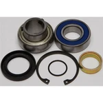 Balls Chain Case Bearing & Seal Kit 14-1003 New. Price: $51.57.