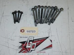 Arctic Cat 1996 Jag 440 Crank Case Bolt Set 3004-874 / 3007-411 Used. Price: $29.95.