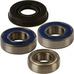 Balls Chain Case Bearing And Seal Kits 14-1018 New. Price: $74.45.