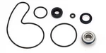 Arctic Thundercat 1000, 1998-2002, Water Pump Rebuild/seal Kit New. Price: $35.98.