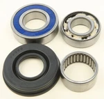 Balls 14-1047 Chain Case Bearing And Seal Kits New. Price: $54.98.