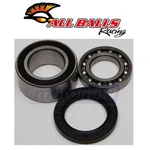 Balls Shaft Bearing And Seal Kit For 2005-2006 Arctic F6 Firecat Efi Ff New. Price: $54.19.