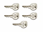 New 1972-1976 Arctic Cat El Tigre / Pantera Oem Ignition Keys (qty 5) 0109-354. Price: $14.95.