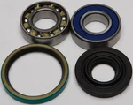 Balls 14-1017 Chain Case Bearing & Seal Kit New. Price: $35.76.