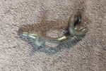 Arctic Cat Rope Guide Part# 0116-843 New. Price: $19.95.