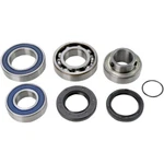 Balls Chain Case Bearing And Seal Kit 14-1059 New. Price: $117.53.