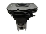 1973 Arctic Cat El Tigre 340 Cylinder And Piston Lh Clutch Side 3001-089 Used. Price: $99.95.