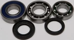 New Balls 14-1060 Chain Case Bearing And Seal Kits. Price: $47.42.
