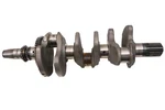 19 Arctic Wildcat Xx 1000 4X4 For Parts. Price: $244.52.